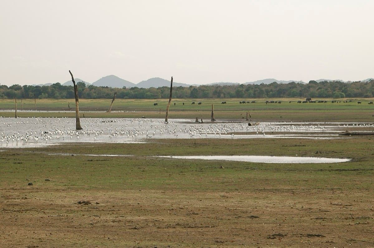 Habarana Village by Cinnamon