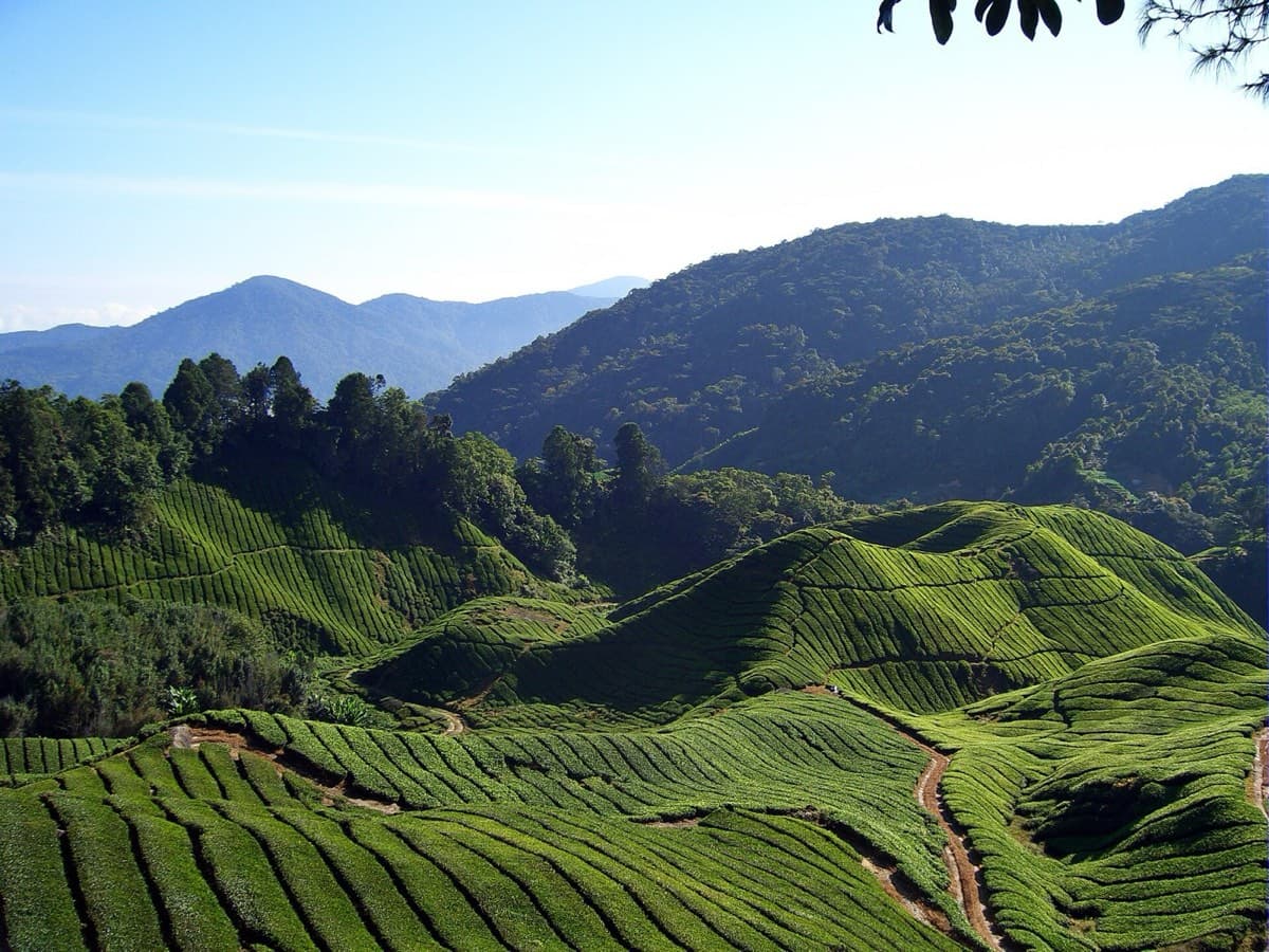 Smokehouse Hotel Cameron Highlands