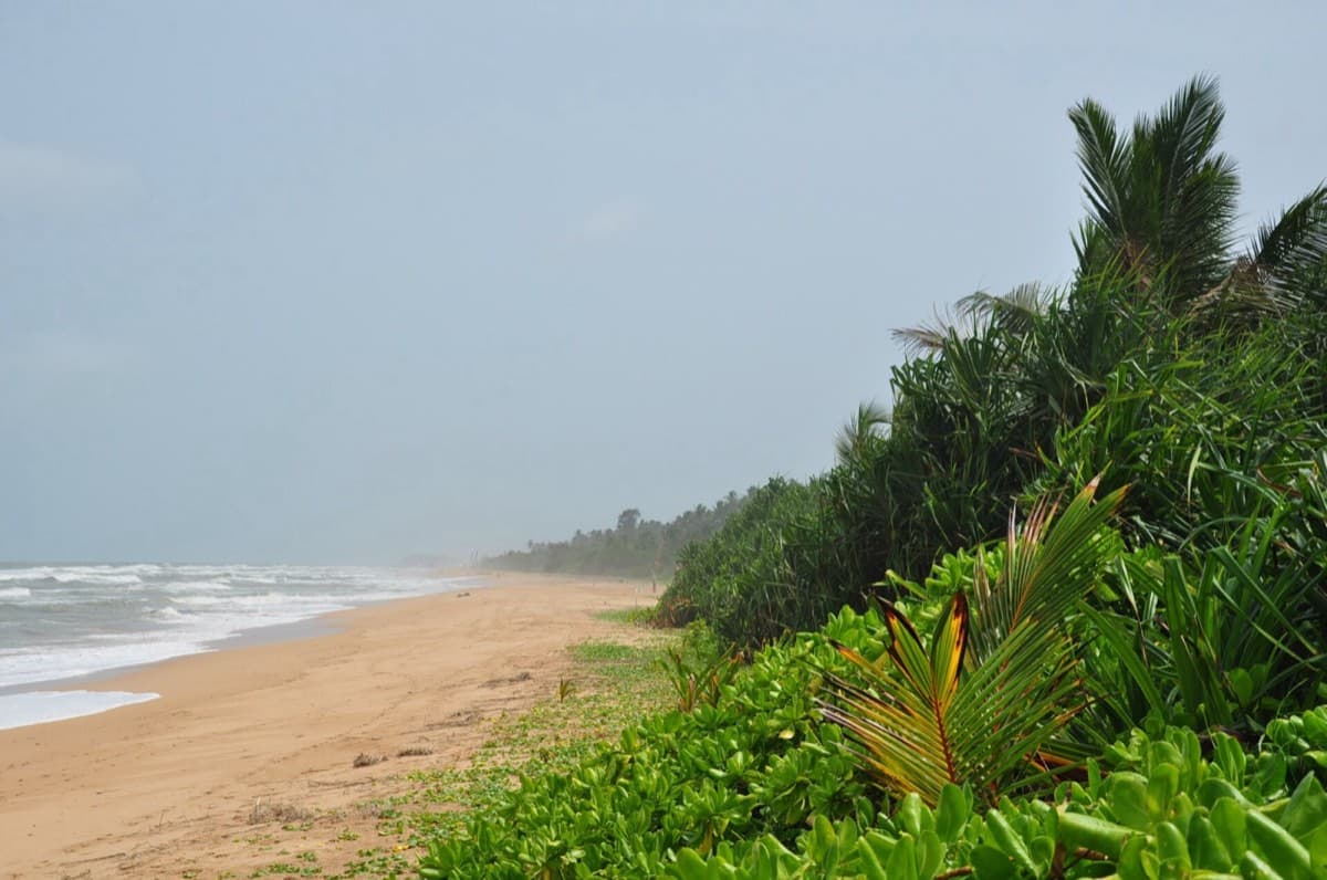 Centara Ceysands Resort & Spa