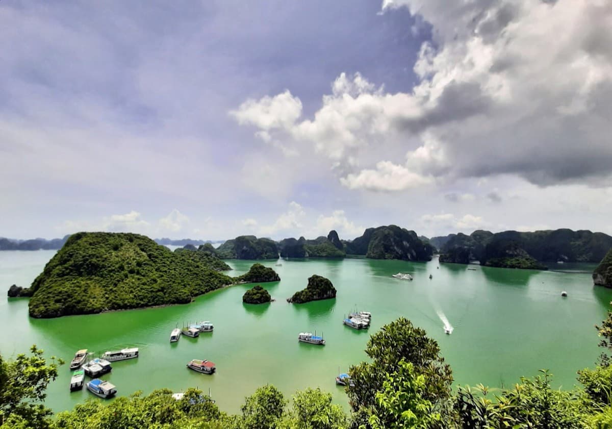Premium Private Junk, Halong Bay